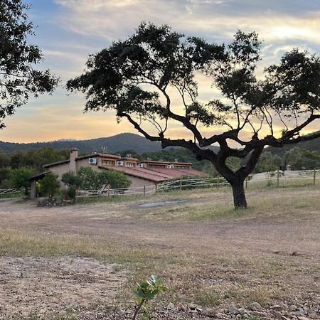 Apartamentos Rurales En Plena Sierra La Calera المظهر الخارجي الصورة