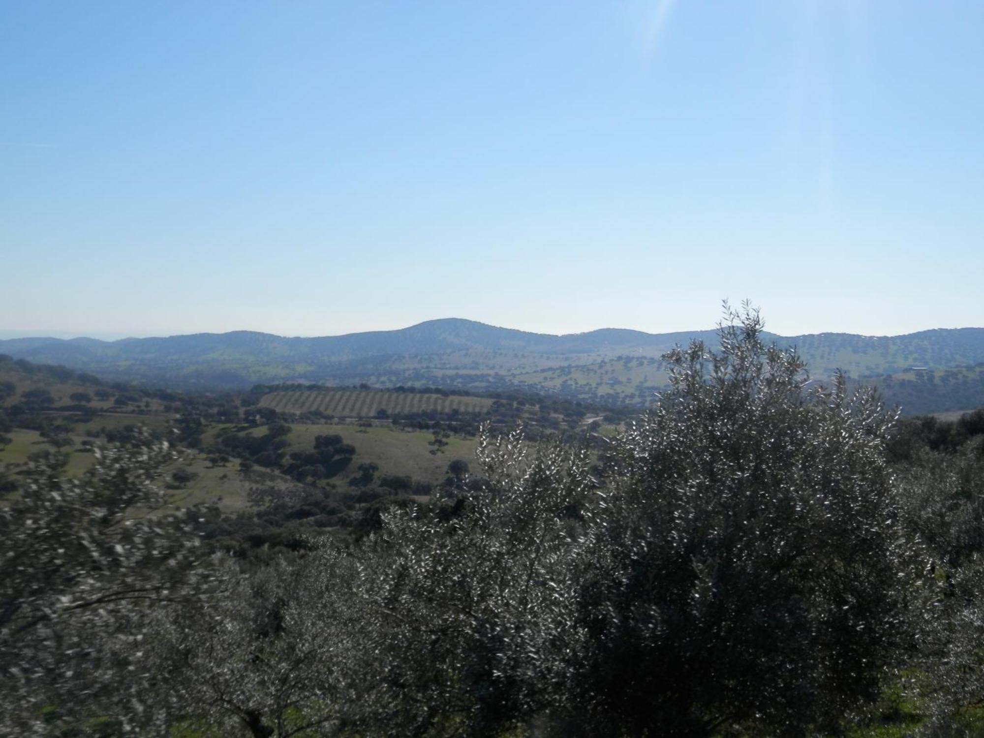 Apartamentos Rurales En Plena Sierra La Calera المظهر الخارجي الصورة