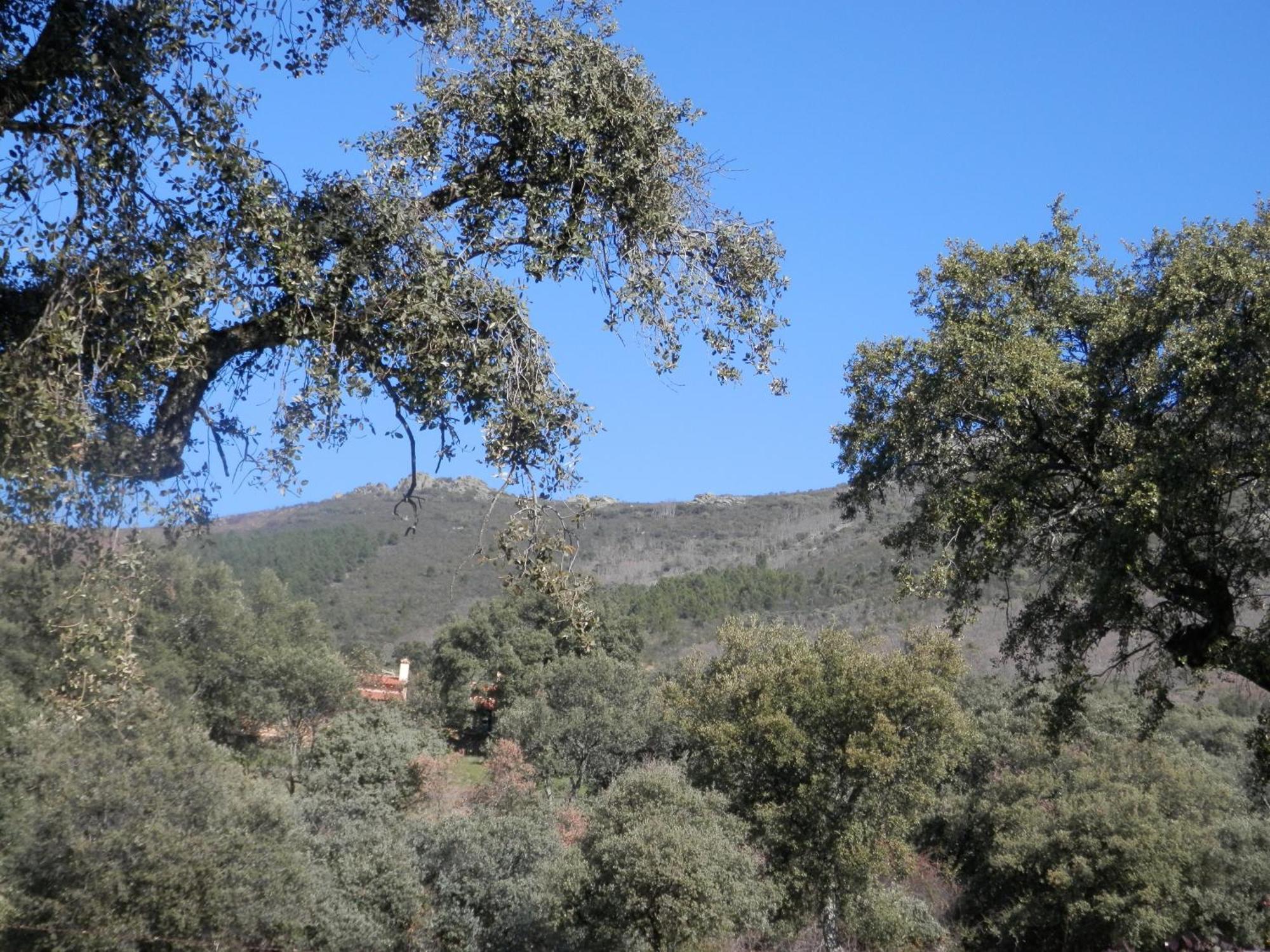 Apartamentos Rurales En Plena Sierra La Calera المظهر الخارجي الصورة