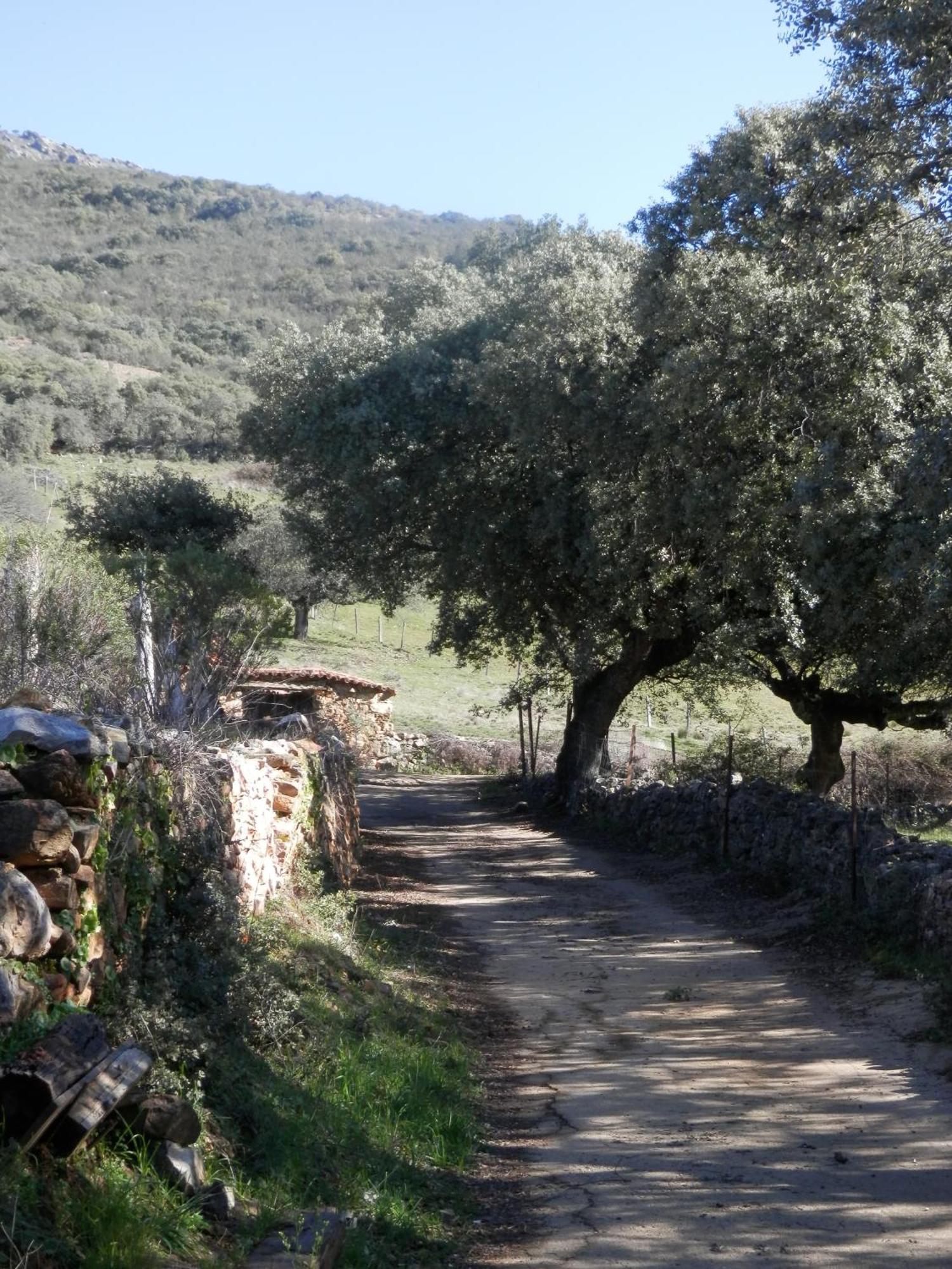 Apartamentos Rurales En Plena Sierra La Calera المظهر الخارجي الصورة
